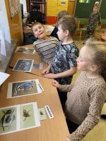 Fotografie img-6938_original.jpg