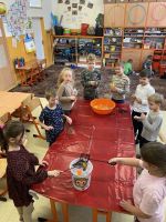 Fotografie img-6943_original.jpg