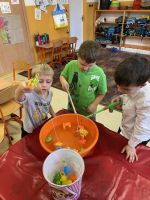 Fotografie img-6970_original.jpg