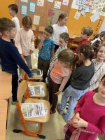 Fotografie img-6986_original.jpg