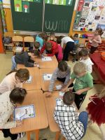 Fotografie img-6997_original.jpg