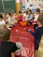 Fotografie img-7002_original.jpg