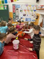 Fotografie img-7008_original.jpg