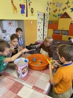 Fotografie img-7029_original.jpg