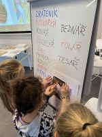 Fotografie img-7474_1_original.jpg