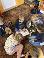 Fotografie img-6850_original.jpg