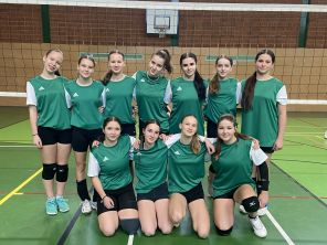 Obrázek k aktualitě Starší žákyně na okrskovém kole ve volejbalu